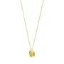 Pilgrim Riyan Halsband Guldpläterad Rostfritt Stål 602632001