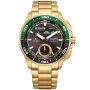 Citizen Promaster Wave Tracker JV3002-51E