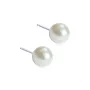 Blomdahl Pearl Örhängen Titanium 15-1233-59