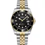 Dissing Diver D1262