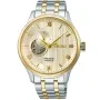 Seiko Presage Japanese Garden SSA464j1
