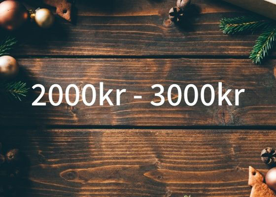Julklappstips 2 000 kr till 3 000 kr