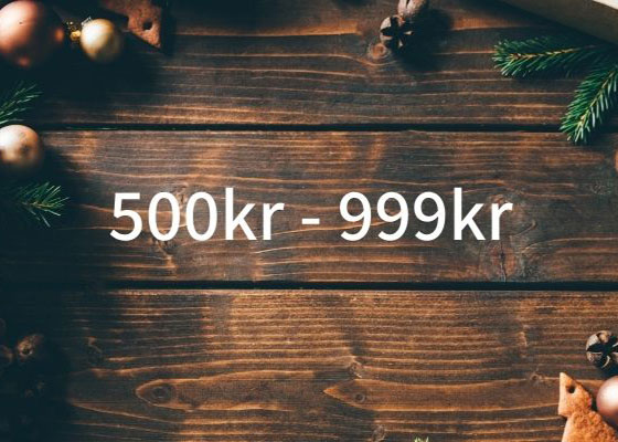 Julklappstips mellan 500 kr till 999 kr