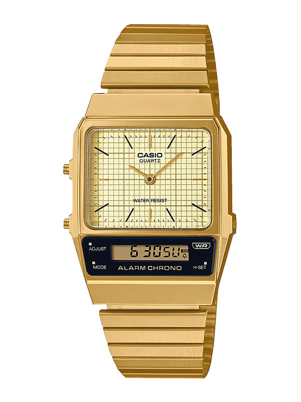 CASIO Vintage Edgy